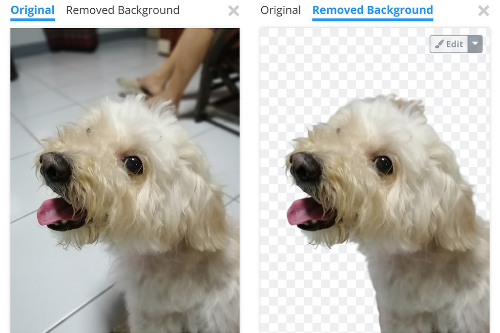 Cómo borrar el fondo de una foto fácil y gratis con Remove.bg para Android