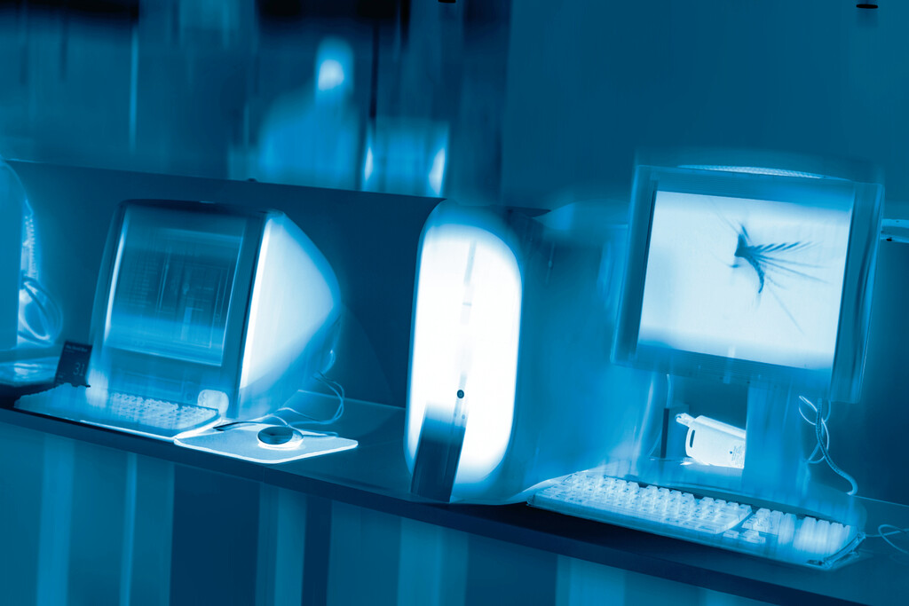 Tener este apellido es una pesadilla digital: así castigan las computadoras a quienes lo llevan . Noticias en tiempo real