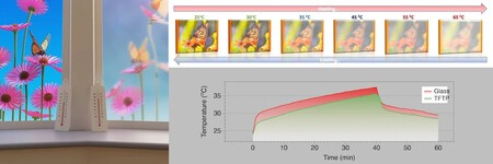 Thermochromic Graphic 1080