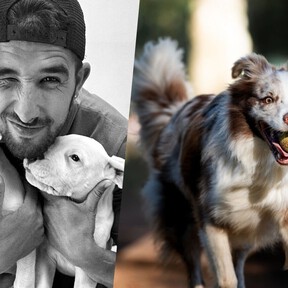 Alberto Sanz, adiestrador canino: "A todos mis alumnos siempre les digo lo mismo. Que dejen de jugar con sus perros en casa, que dejen de ponerles juguetes"