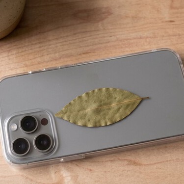 Por qué se recomienda llevar una hoja de laurel dentro de la funda del móvil y qué significa realmente