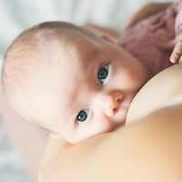 Los azúcares presentes en la leche materna ayudan a prevenir infecciones por estreptococos en recién nacidos 