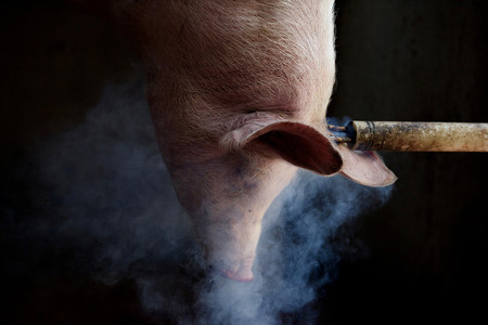 Aitor Garmendia Tras Los Muros