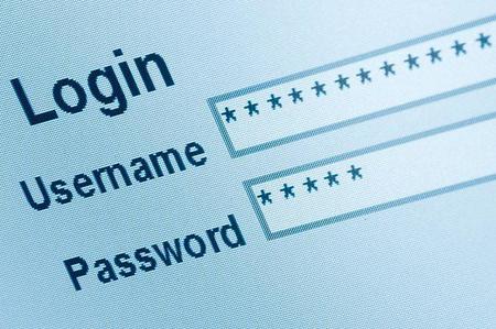 Ataques de fuerza bruta a formularios web