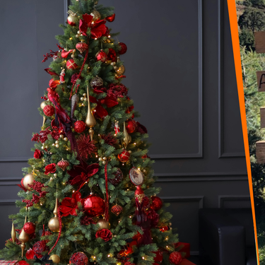 Dónde comprar árboles de Navidad naturales en México: estos son los lugares avalados por Secretaría del Medio Ambiente