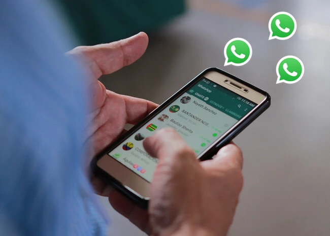 Notificaciones Whatsapp