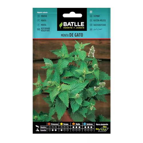 Semillas Batlle Menta de Gato-Nepeta catania
