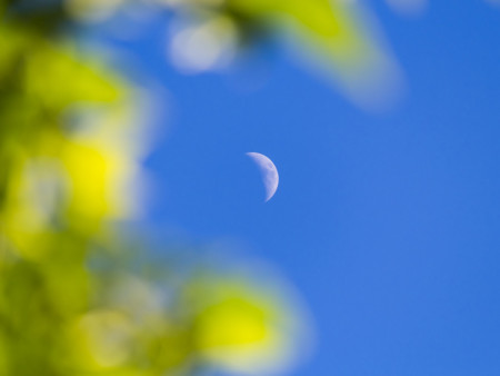 Luna