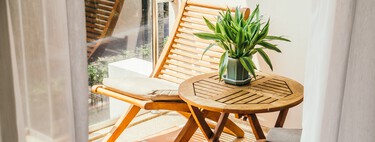 Lidl lanza el viernes la solución para tapar las paredes feas de la terraza: una celosía con plantas por menos de 18 euros