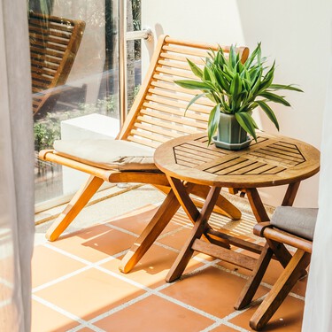 Lidl lanza el viernes la solución para tapar las paredes feas de la terraza: una celosía con plantas por menos de 18 euros