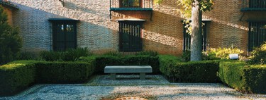 “El vecino no puede plantar ningún árbol a menos de dos metros de tu vivienda”: Juan Antonio Ramos, abogado