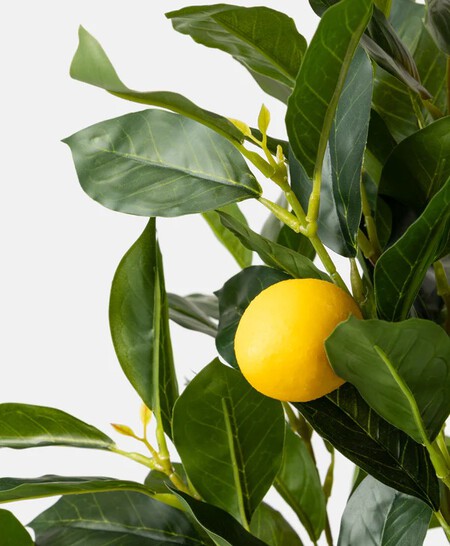 Limonero artificial Pepco