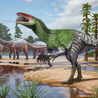Así es Invictibellatrix: el primer megarraptor de Europa llevaba décadas en manos de un aficionado