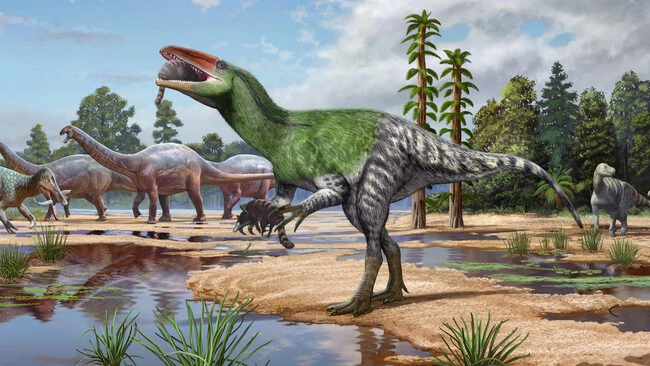 Así es Invictibellatrix: el primer megarraptor de Europa llevaba décadas en manos de un aficionado