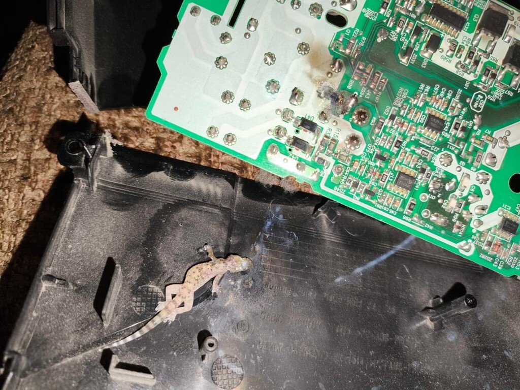 Un jugador huele a quemado dentro de su PS4 y descubre que la consola le ha cocinado lagartija a la plancha 