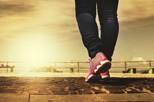 Los casos por impagos a través de internet, crecen por la idea del 'todo es gratis'