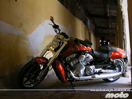 H-D V-Rod Muscle