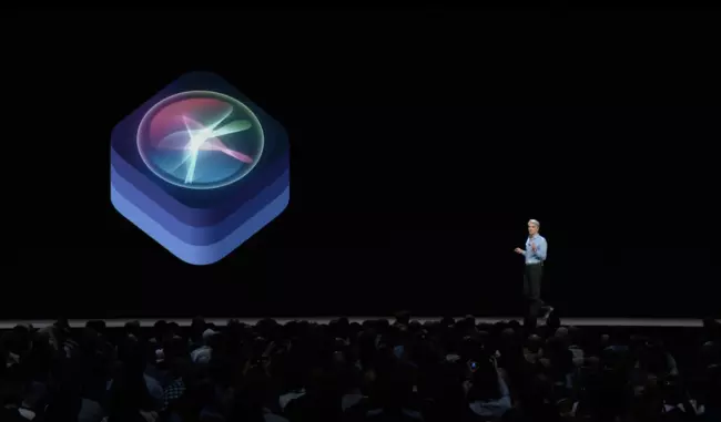 Siri Craig