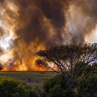 El humo de los incendios ya ha empeorado la calidad del aire de muchas regiones en España. Cómo saber la de tu zona y qué hacer si es mala
