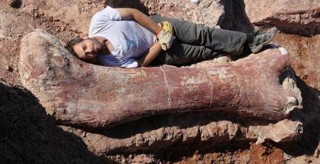 Descubren huesos de la criatura más grande que ha pisado la tierra