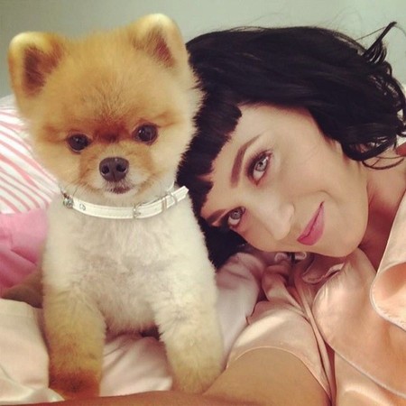 ¡Katy Perry y John Mayer lo dejan!