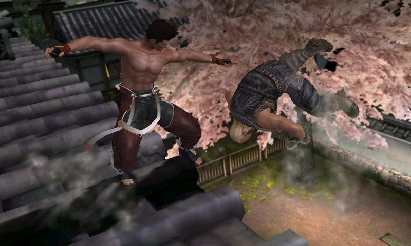 Foto de 300111 - DOA 3DS (combates) (7/29)