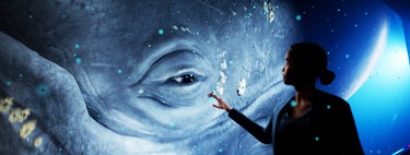 En Australia han decidido abrir un zoológico sin animales ni jaulas. Tienen algo distinto: enormes hologramas