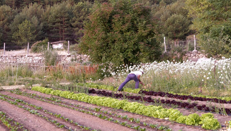 agricultor