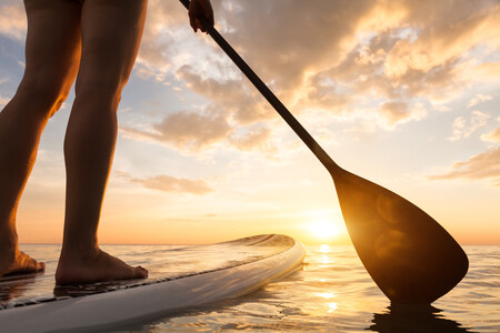 Paddle Surf