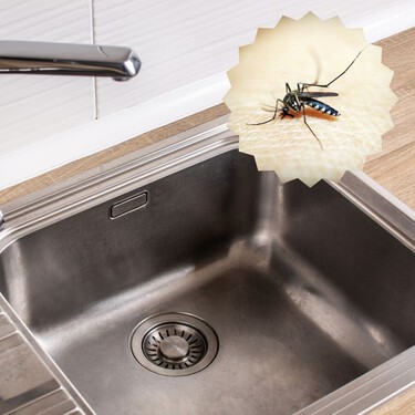 El error que todos cometemos en el fregadero y que llena tu cocina de mosquitos en temporada de lluvias 