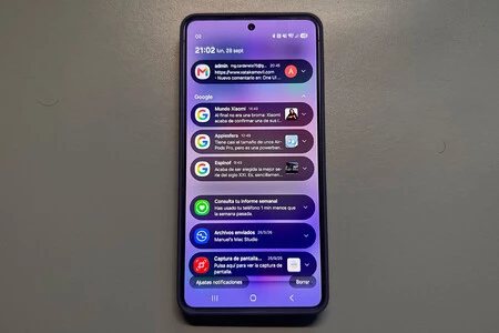Notificaciones