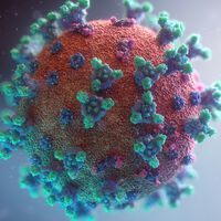 Hace 53 años, el primer virus informático infectó miles de ordenadores y lo más curioso fue quién se encargó de erradicarlo