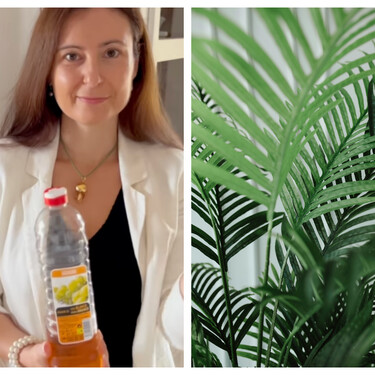 El trucazo de una experta para que tus plantas estén bonitas y sean más resistentes que nunca