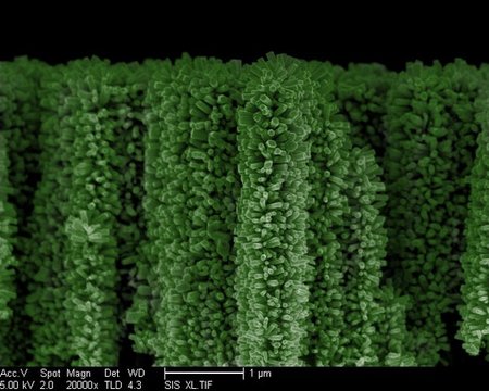 Nanoárboles que recogen energía solar para convertir agua en combustible de hidrógeno