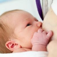 Sabores de la leche materna durante la lactancia: salada, dulce, amarga...