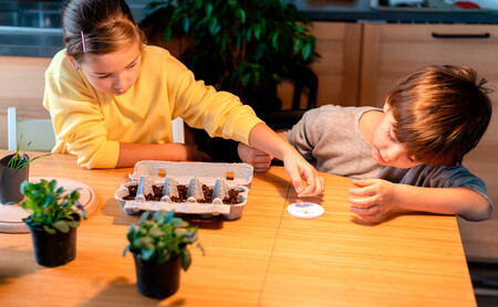 actividades montessori