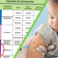 En México hay dos vacunas contra el sarampión y así puedes saber cuál tienes y cuándo se aplicó