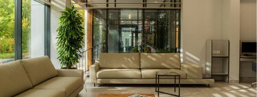 Plantas resistentes a la calefacción: estas son las especies que mejor soportan el calor dentro de casa 