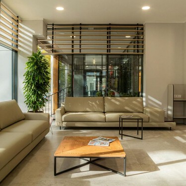 Si en tu casa las plantas se mueren en invierno por tener la calefacción muy fuerte, estas son las plantas que necesitas poner en tu vida