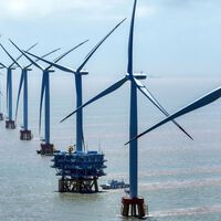 El dilema ecológico de los aerogeneradores marinos: energía renovable o vida marina