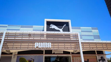 Puma2