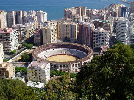 malaga erasmus