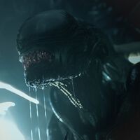 "Eso no va a pasar". A James Cameron le encanta el universo Alien y volvería para una nueva peli... si no tuviera otros 23 proyectos esperándole a sus 70 años