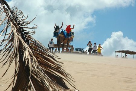 Andalusia Travelcard, una tarjeta de descuento para turistas
