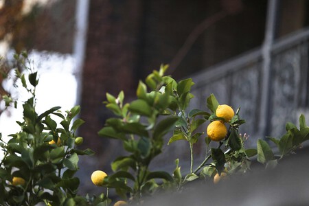 Photo 1751432773398 Cea1722e1eae