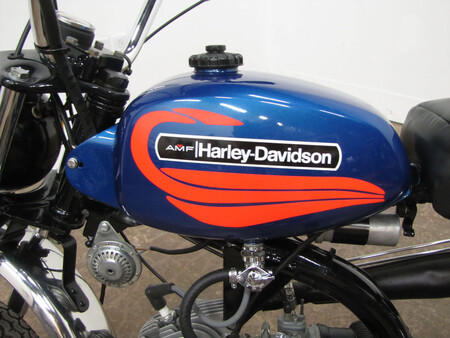 Harley Enana 1 2023