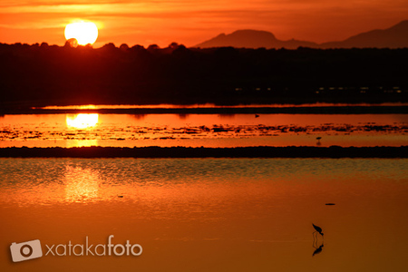 Cómo fotografiar amaneceres y puestas de sol