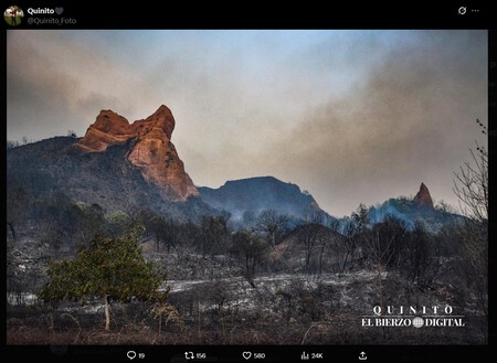 Medulas Antes Despues