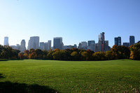 Aplicación musical para descubrir Central Park con hermosas melodías 