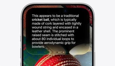 Siri Mode, reconocimiento visual desde la cámara del iPhone. No muy diferente de Google Lens, que lleva años en las distintas cámaras de Android